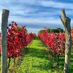 Skerlj Wine Estate * Tomaj