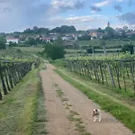 Skerlj Wine Estate *