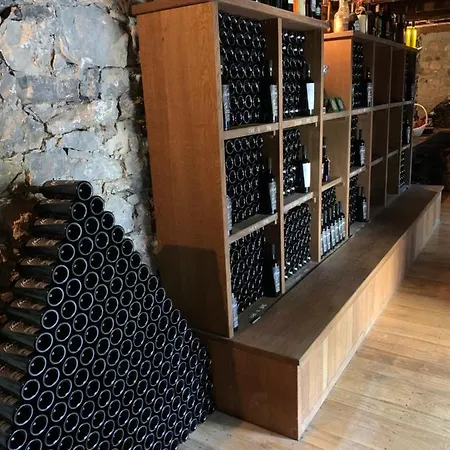 Skerlj Wine Estate *