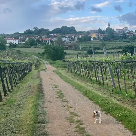 Skerlj Wine Estate *