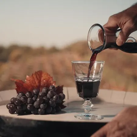 Seoska kuća Skerlj Wine Estate *