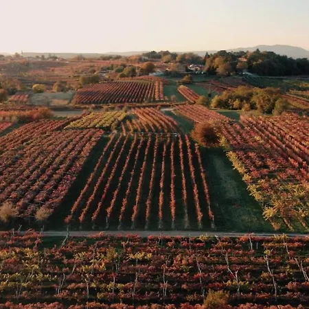 škerlj Wine Estate Casa rural *