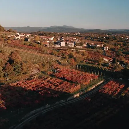 Skerlj Wine Estate Seoska kuća *