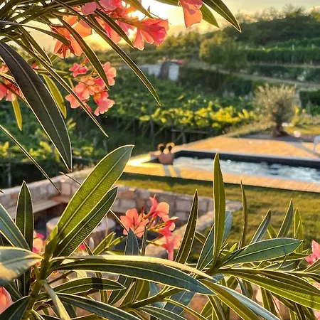 Seoska kuća Skerlj Wine Estate Tomaj