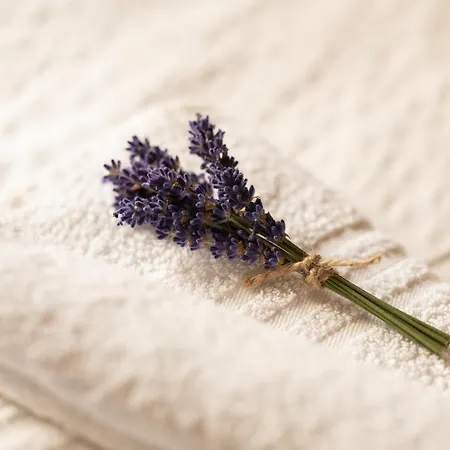 Skerlj Wine Estate *