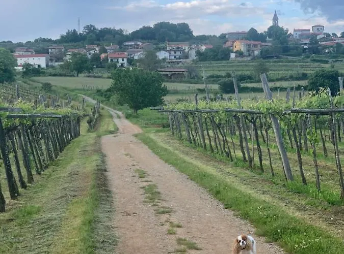 škerlj Wine Estate *