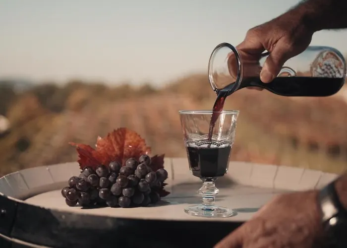 בית כפרי Skerlj Wine Estate *