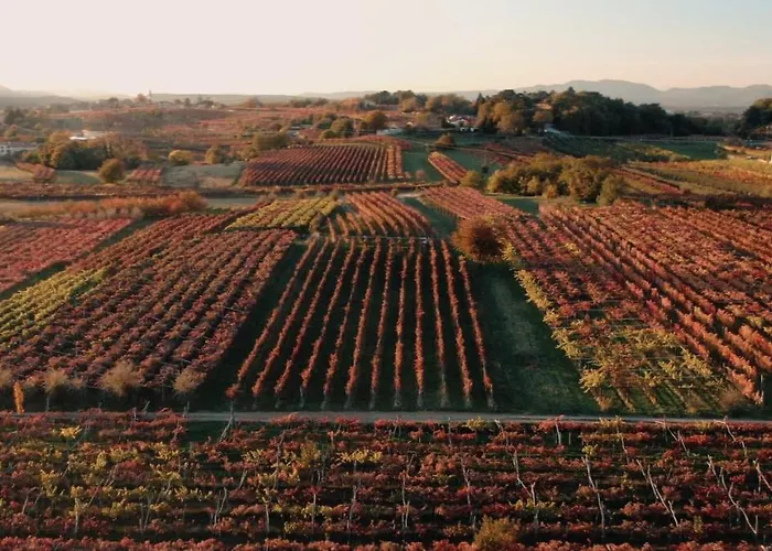 Skerlj Wine Estate בית כפרי *