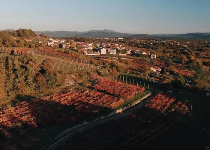 Skerlj Wine Estate منزل ريفي *