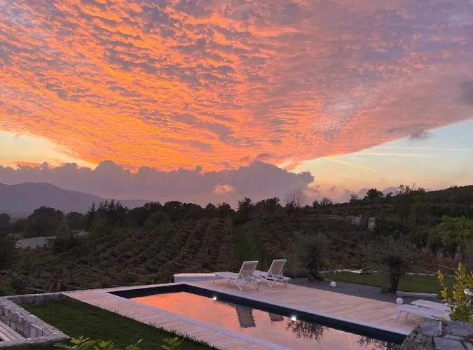 منزل ريفي Skerlj Wine Estate *