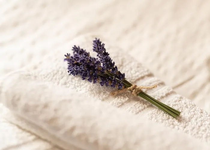 Skerlj Wine Estate *